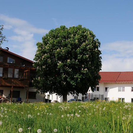 Ferienhof Hopfgaertle Mueller Bodnegg Extérieur photo