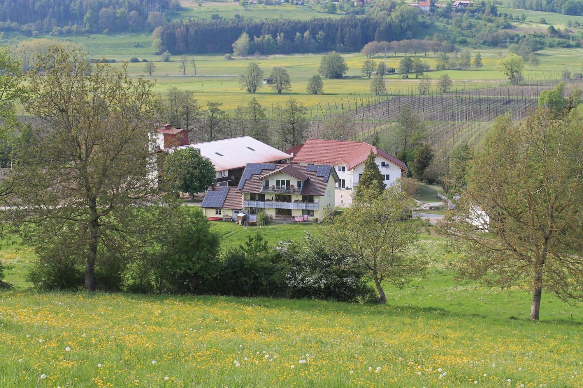 Ferienhof Hopfgaertle Mueller Bodnegg Extérieur photo